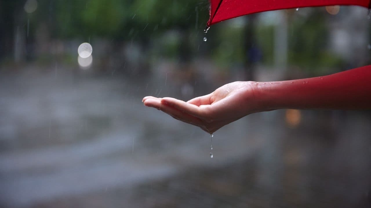 雨が降っている