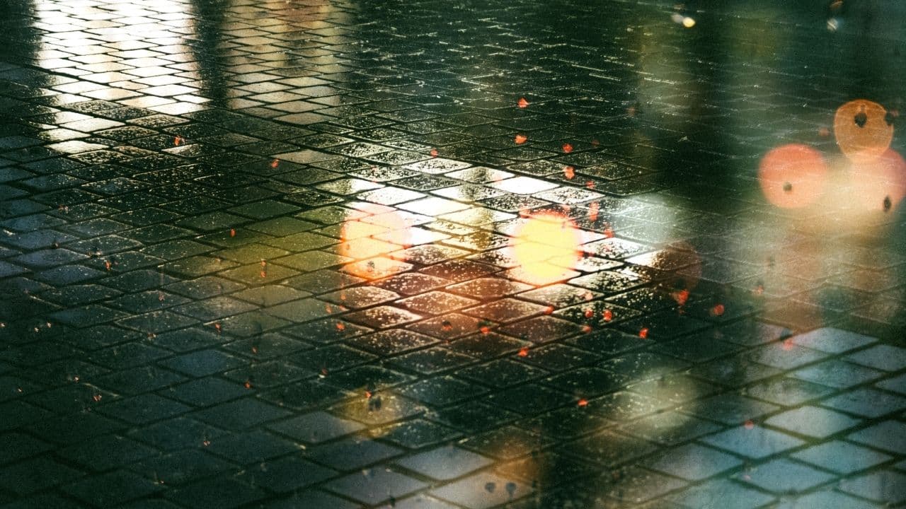 雨が降っている