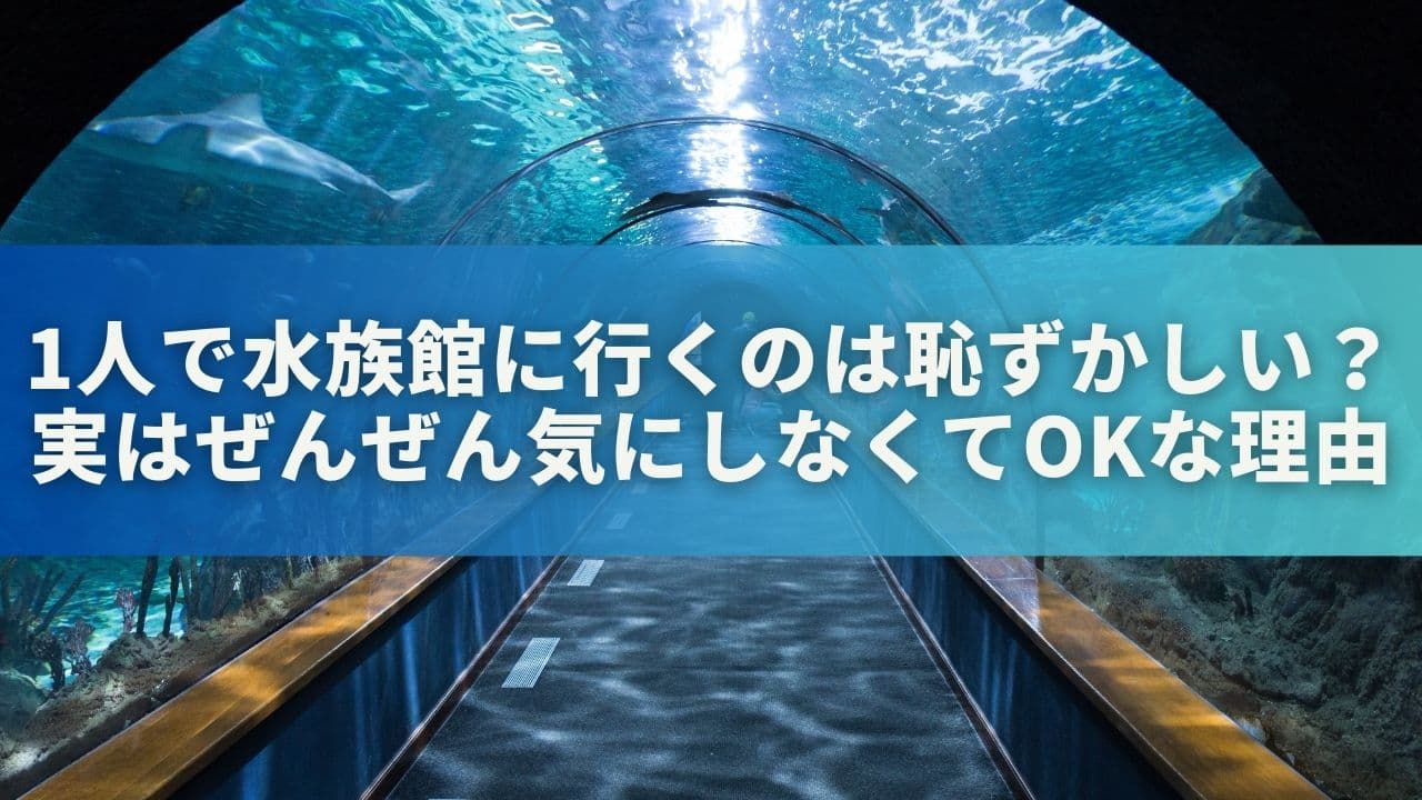 1人で水族館に行くのって恥ずかしい？実はぜんぜん気にしなくてOKな理由