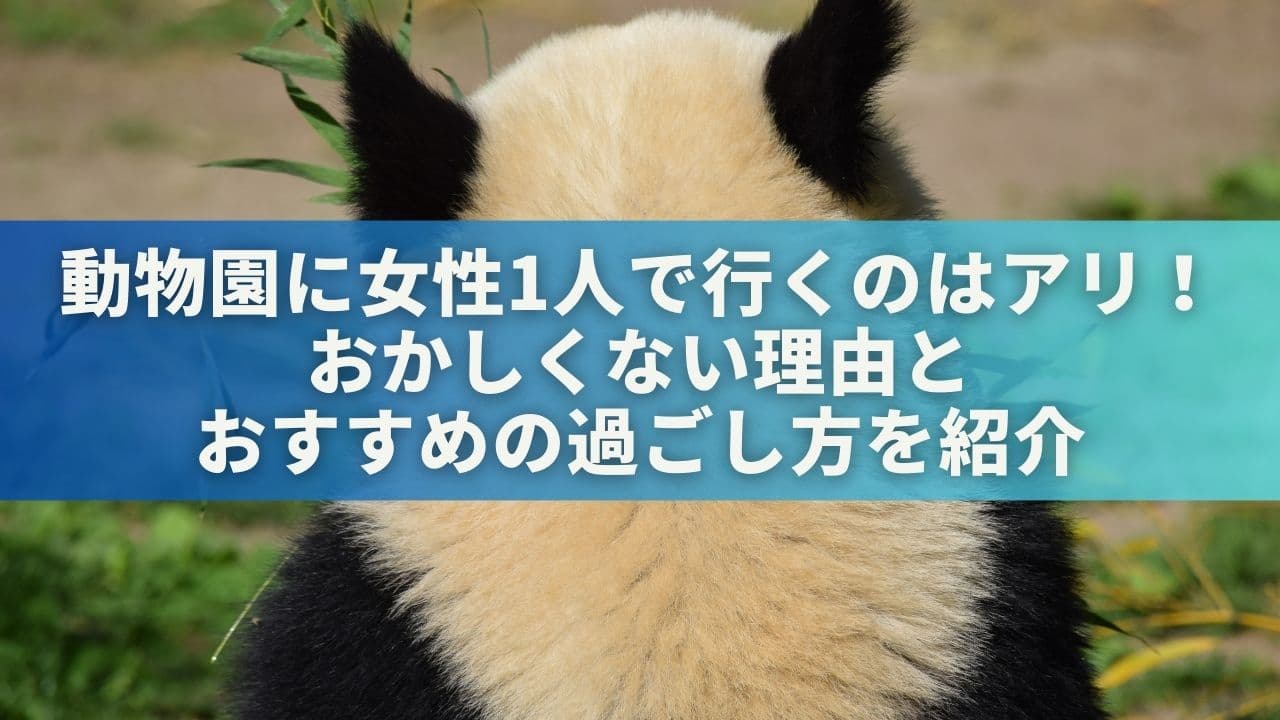 動物園に女性1人で行くのはアリ！おかしくない理由とおすすめの過ごし方を紹介