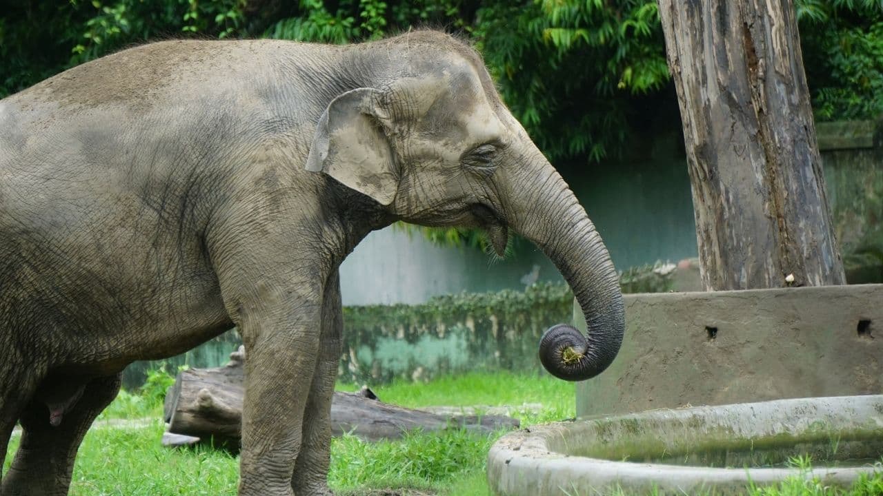 1人だからこそ味わえる動物園の魅力とは？
