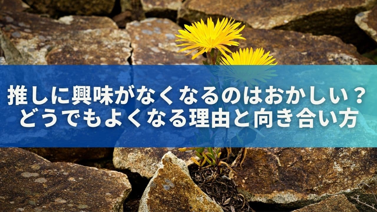 推しに興味がなくなるのはおかしい？どうでもよくなる理由と向き合い方